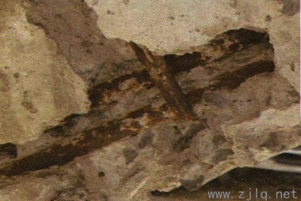 下玄桿開裂露筋（http://www.zg99xy.com/）