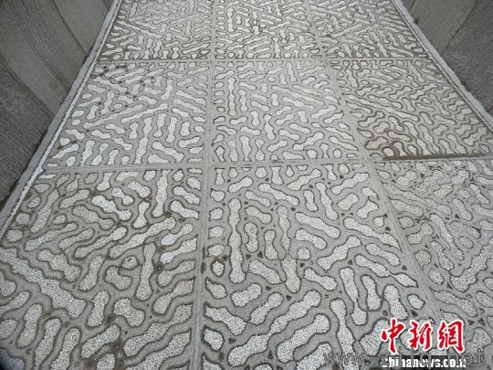 3D打印混凝土步行橋橋面?！】涤裾?攝