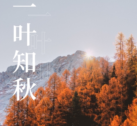 今日立秋，涼風(fēng)，微雨
